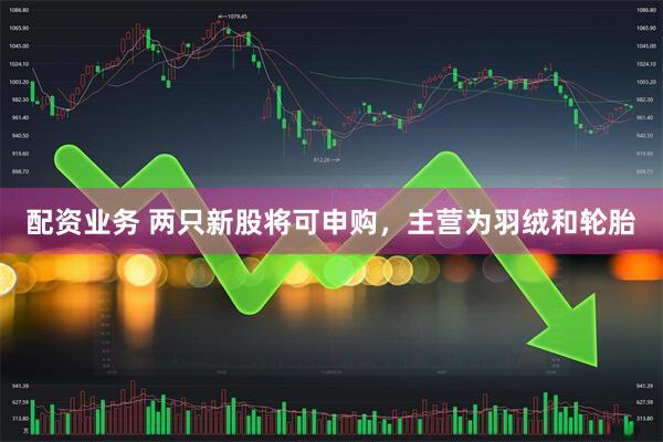 配资业务 两只新股将可申购，主营为羽绒和轮胎